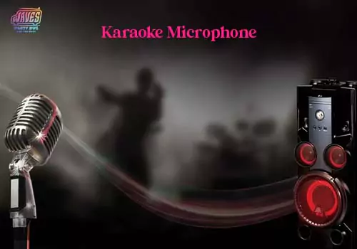 Karaoke Microphone image 